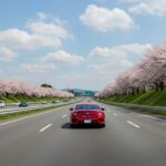 飲酒運転の同乗者も罰せられる？罪の重さと社会的責任