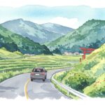 道路標識「動物注意」だけじゃない！野生動物との事故と法的責任